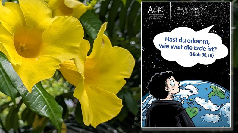 Blühende Natur und der Blick auf die Erde: Der Ökumenische Tag der Schöpfung 2026 lädt am 4. September in Marburg dazu ein, die Weite der Erde neu zu entdecken und Verantwortung für die Schöpfung zu übernehmen. Bildmontage: Links eine große gelbe Blüte vor grünen Blättern. Rechts das Plakat zum Ökumenischen Tag der Schöpfung 2026 mit einer gezeichneten Person, die auf die Erde blickt. In einer Sprechblase steht: „Hast du erkannt, wie weit die Erde ist?“